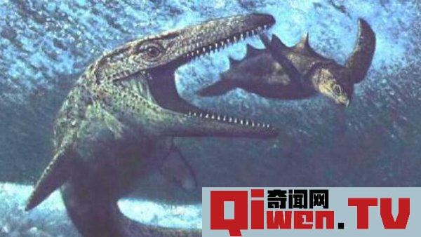 史前海洋十大霸主 旋齒鯊超強咬合力海洋中稱霸