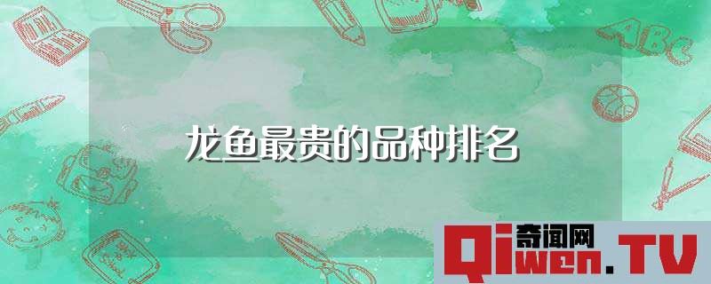龍魚最貴的品種排名 排行前十的龍魚品種