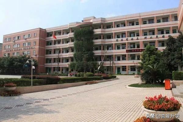 “雙秀”加“兩花”，“蓉e升學”成都成華區優質小學大盤點