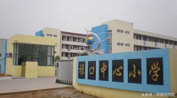 南京江寧區的中小學在這份榜單中是大贏家