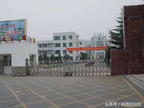 南京江寧區的中小學在這份榜單中是大贏家