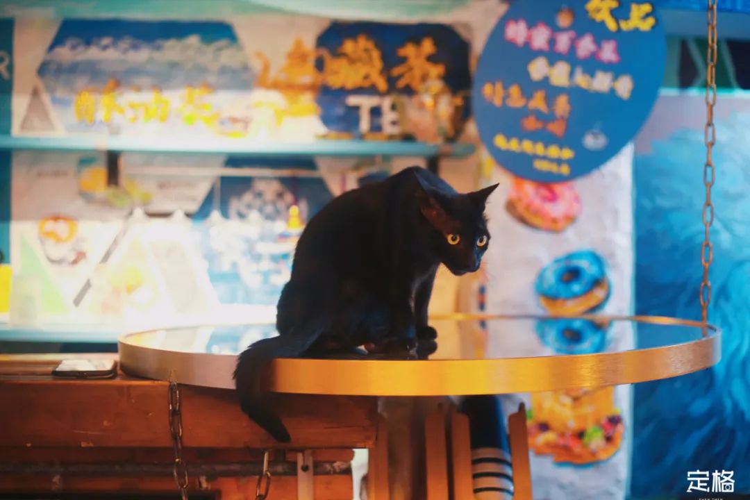 深圳大芬油畫村，值得去嗎？