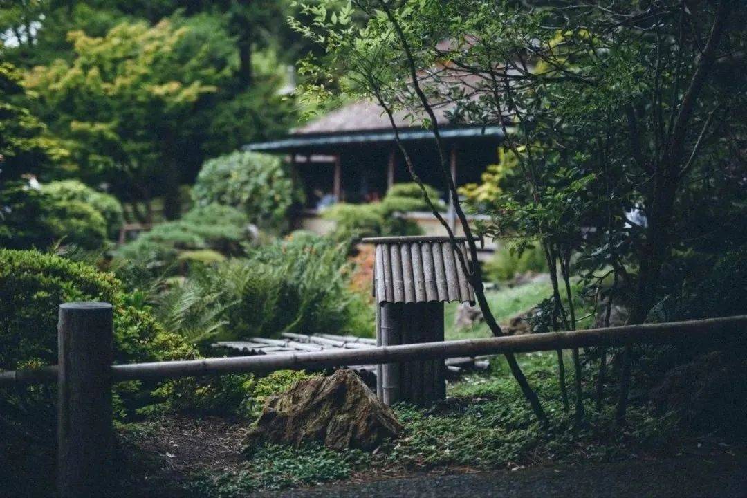徑山最美春日已上線！采茶踏青、遛娃拍照一站式搞定