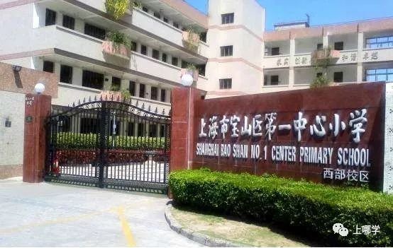 上海市寶山區90所小學全盤點！世外、華二等名校紛紛入駐