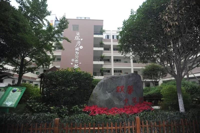 成華區熱門小學都有哪些?看看有你家附近的沒