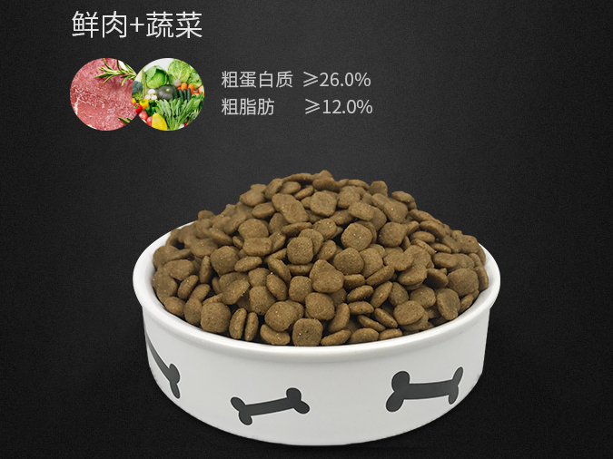 狗狗到底能不能喝酸奶?這些知識,寵主現在知道都不晚