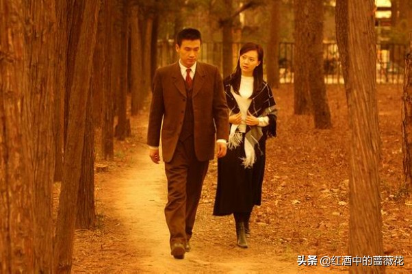 陳數四大經典角色，黃依依引關注，鐵梨花獲最佳女演員