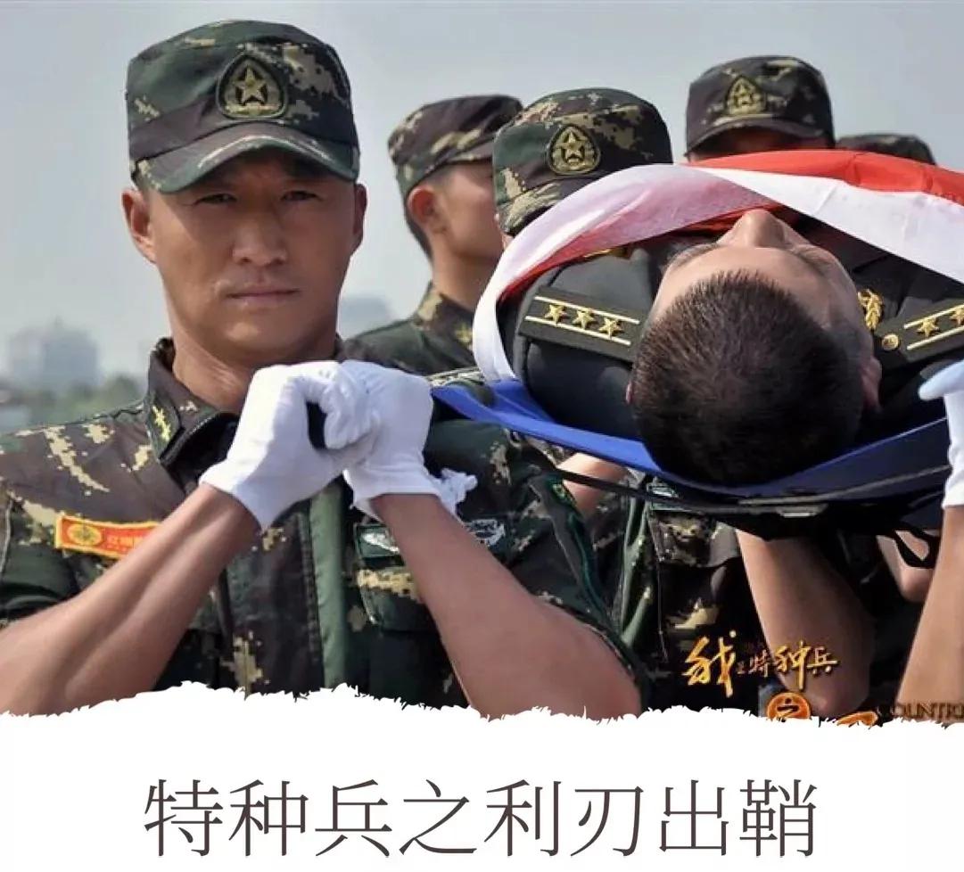 七部激情澎湃中國特種兵的電視劇，你看過幾部？
