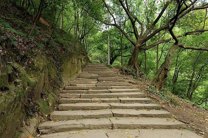 五一假期余額不足？重慶這些絕美出游地，一天打來回