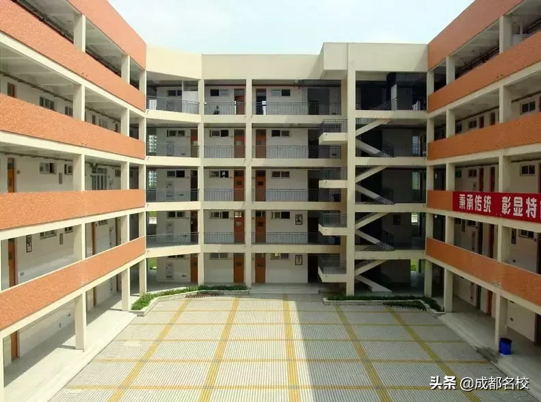 漲知識！成都高新區優質小學信息匯總及熱門小學解析