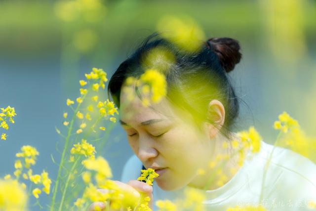 重慶巴南有一座高山上的花海，門票38元卻擋不住游客蜂擁前往：值