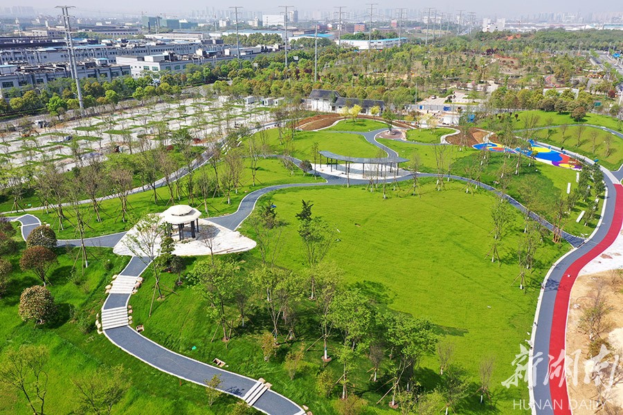 長沙龍華公園美麗綻放
