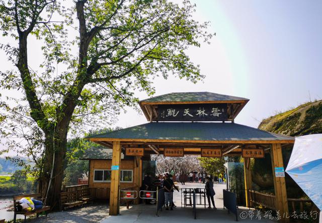 重慶巴南有一座高山上的花海，門票38元卻擋不住游客蜂擁前往：值