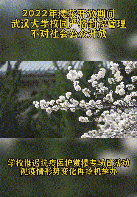 武漢大學官宣：今年櫻花盛開期間不對社會公眾開放校園