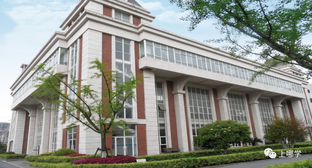 上海市寶山區90所小學全盤點！世外、華二等名校紛紛入駐