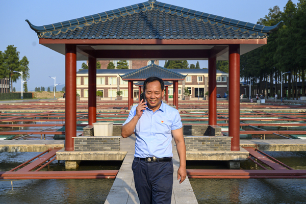 豐收節｜南京高淳：2億只大閘蟹陸續上市，等你來吃