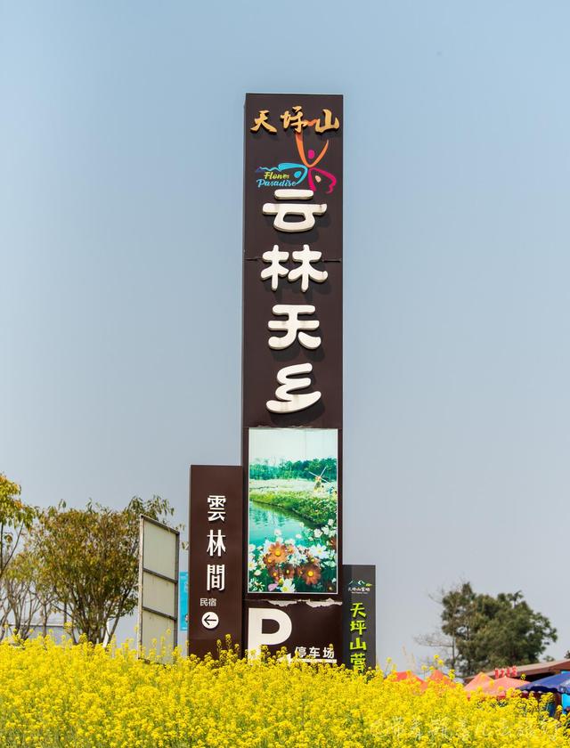重慶巴南有一座高山上的花海，門票38元卻擋不住游客蜂擁前往：值