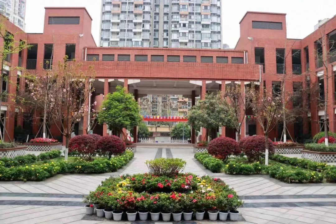 除了“五朵金花”,成都各個區還有哪些公辦小學值得考察