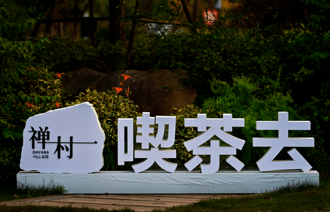 徑山最美春日已上線！采茶踏青、遛娃拍照一站式搞定