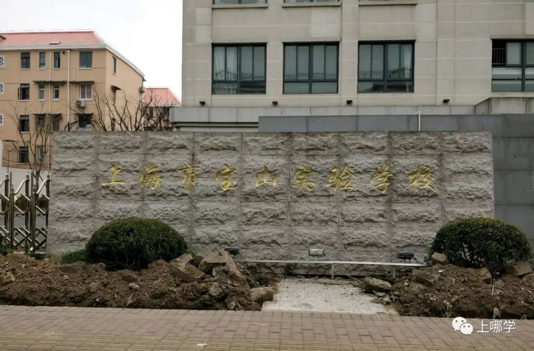 上海市寶山區90所小學全盤點！世外、華二等名校紛紛入駐