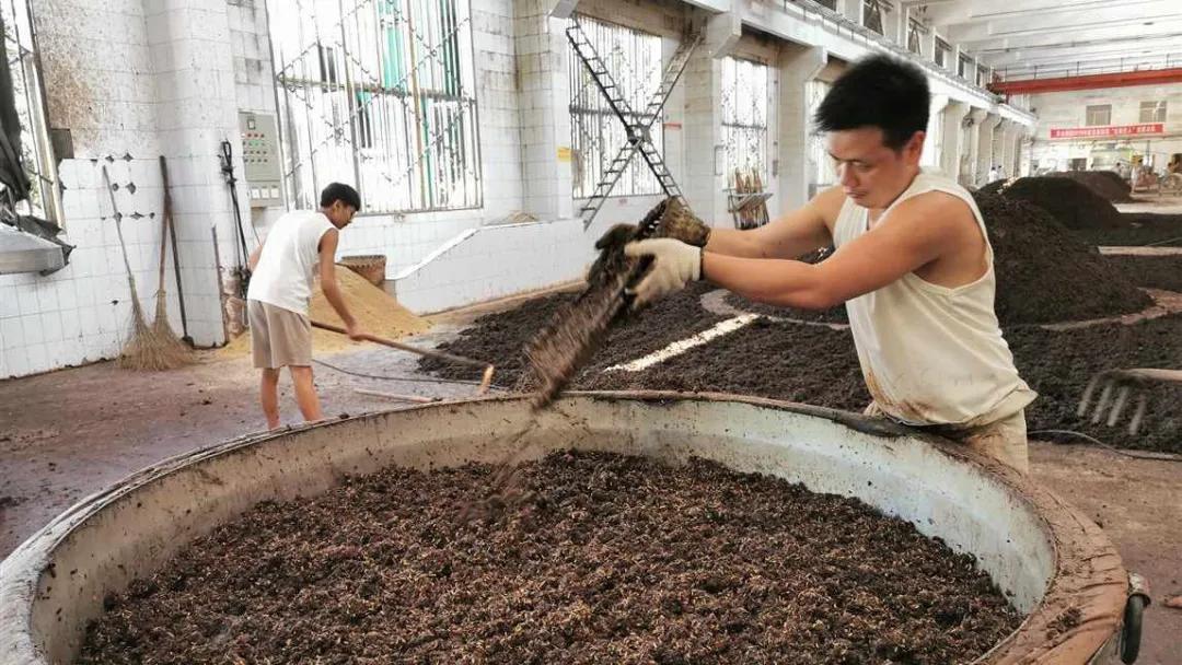 一瓶茅臺酒是怎么釀造出來的？