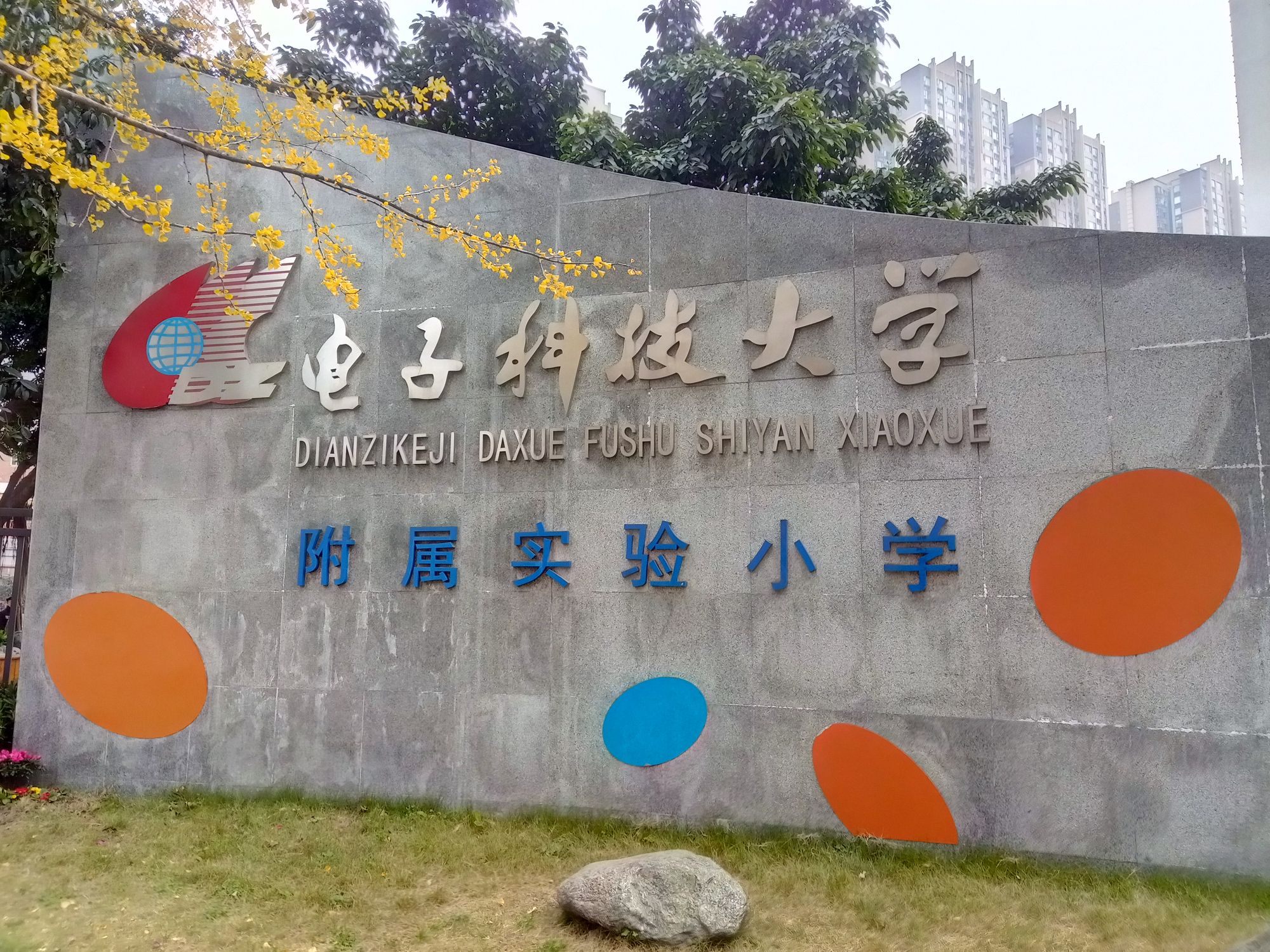 成華區熱門小學都有哪些?看看有你家附近的沒