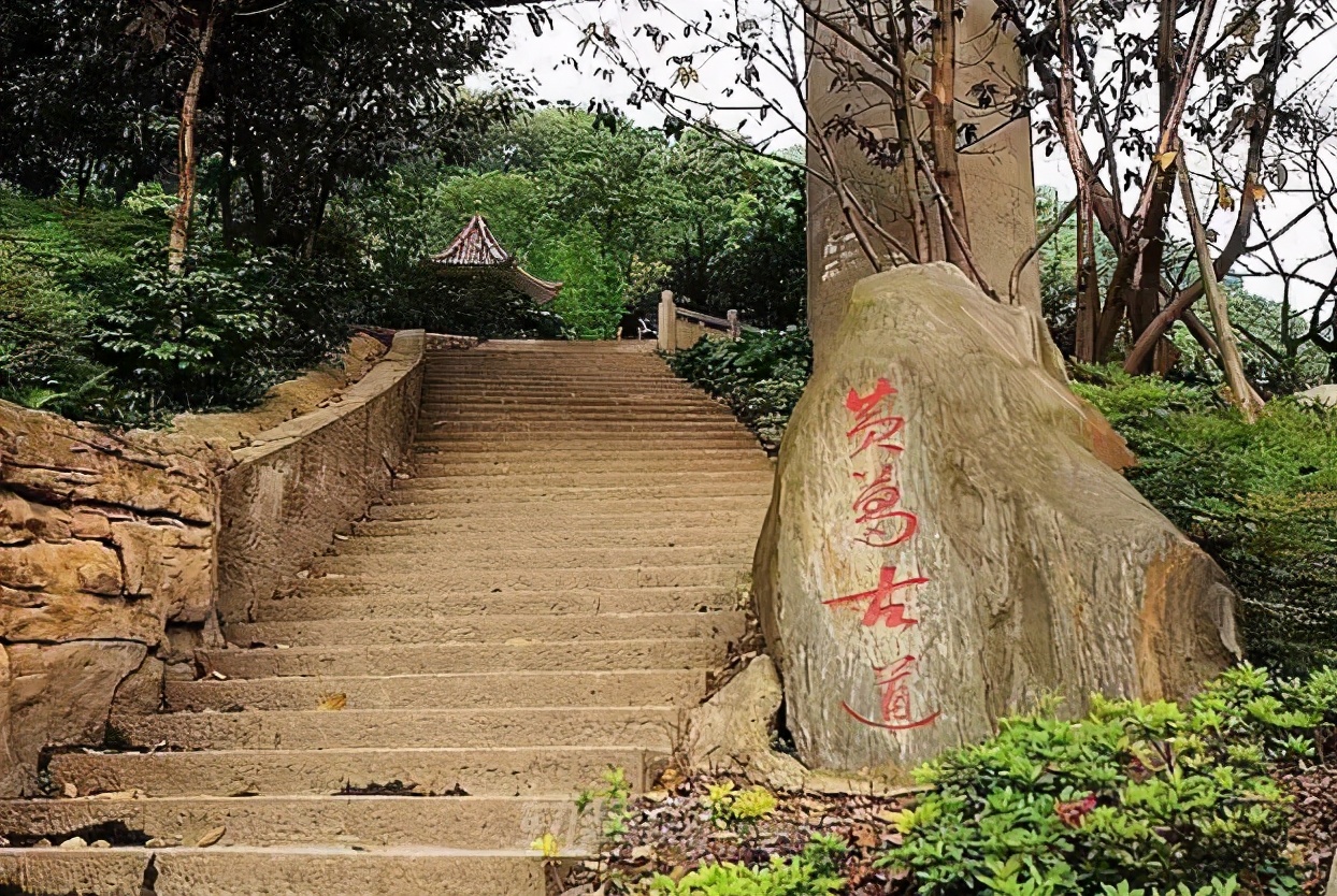 五一假期余額不足？重慶這些絕美出游地，一天打來回
