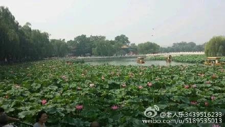 北京圓明園