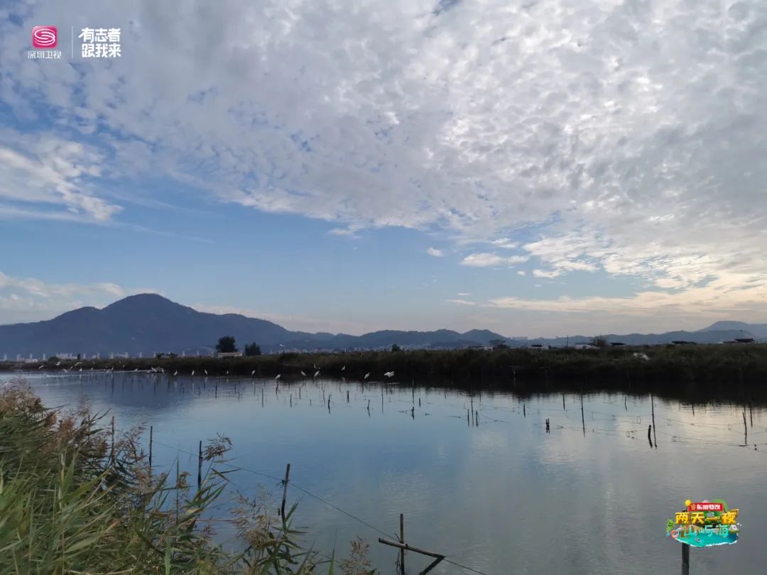 出不了廣東？沒事，這7個廣東周邊游目的地，一日也能抵達山海