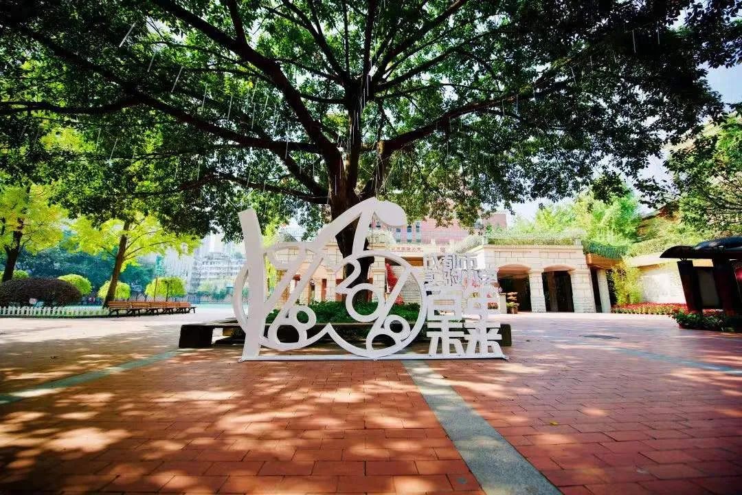 不要只盯“五朵金花”，成都這些公辦小學也很強