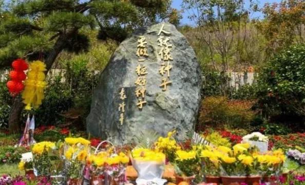 今天5月22日，袁隆平爺爺去逝1周年：當風吹過稻田，我又想起您了