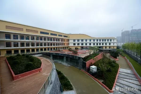 漲知識！成都高新區優質小學信息匯總及熱門小學解析