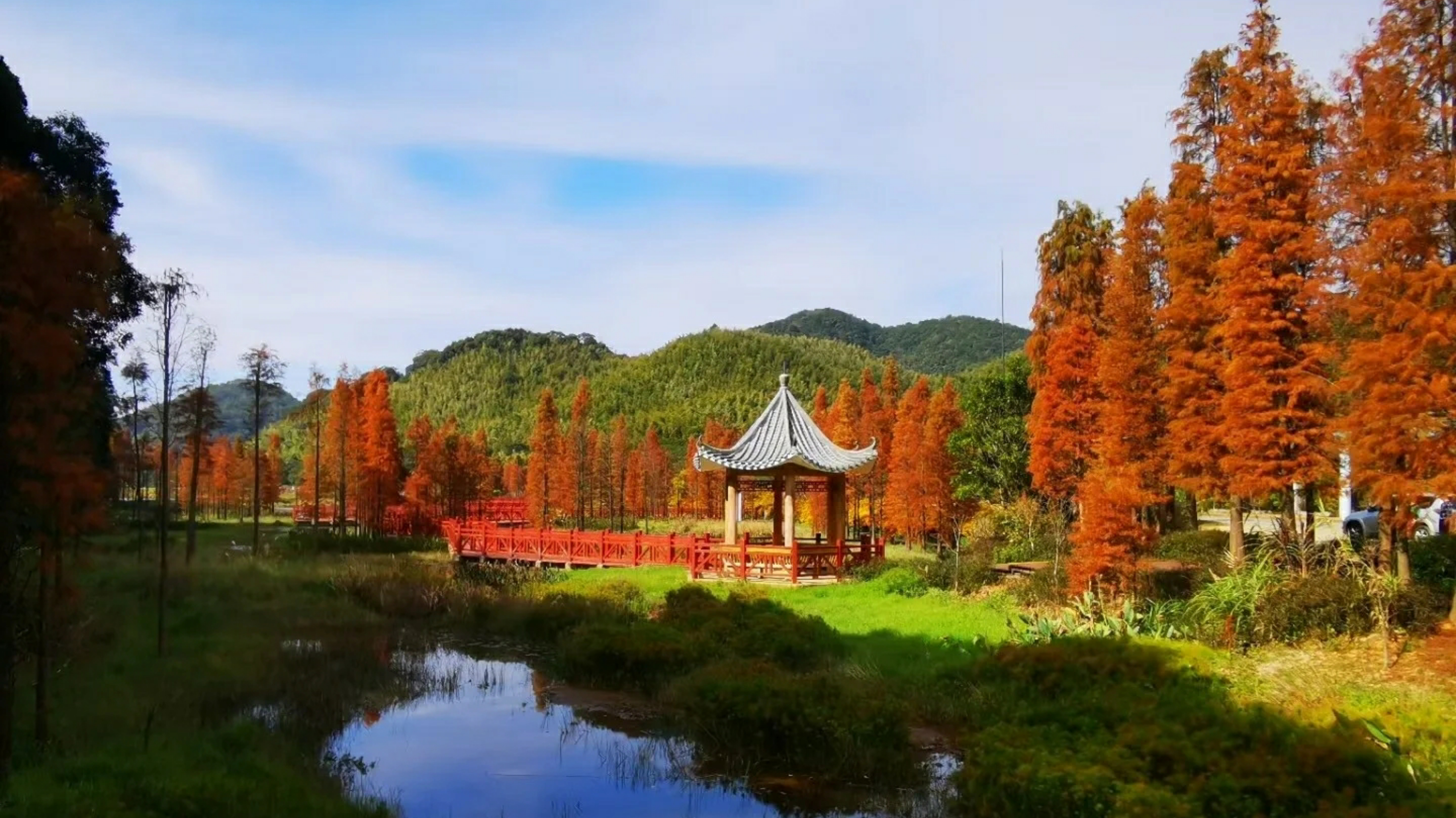 廣東“小香山”石門森林公園楓葉快紅了，民宿也找好了，先收藏吧
