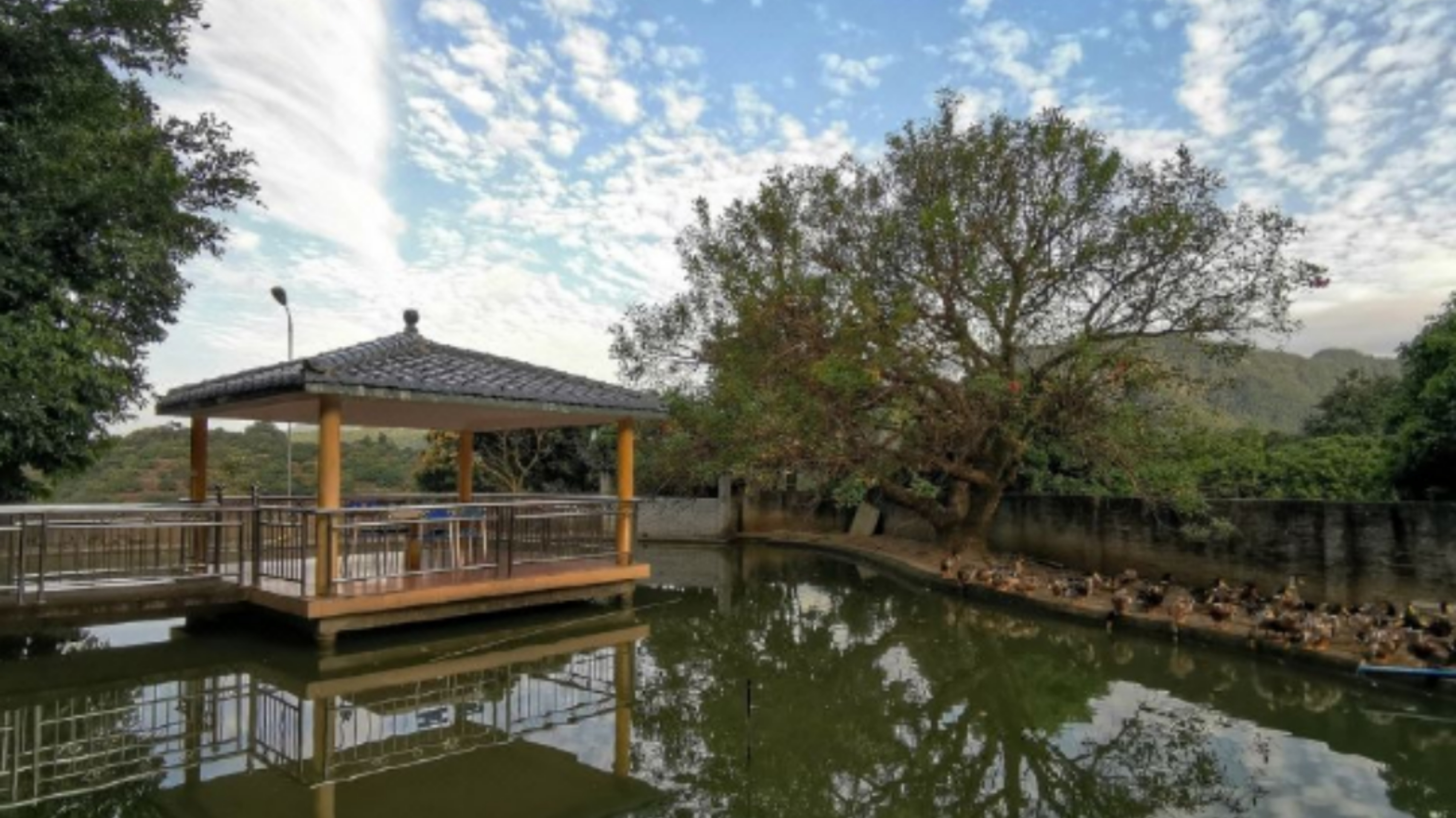 廣東“小香山”石門森林公園楓葉快紅了，民宿也找好了，先收藏吧