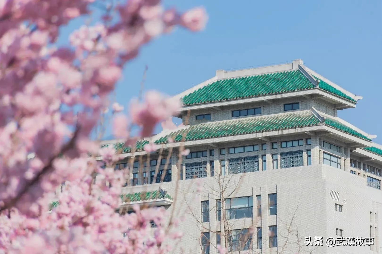 武漢大學官宣：今年櫻花盛開期間不對社會公眾開放校園