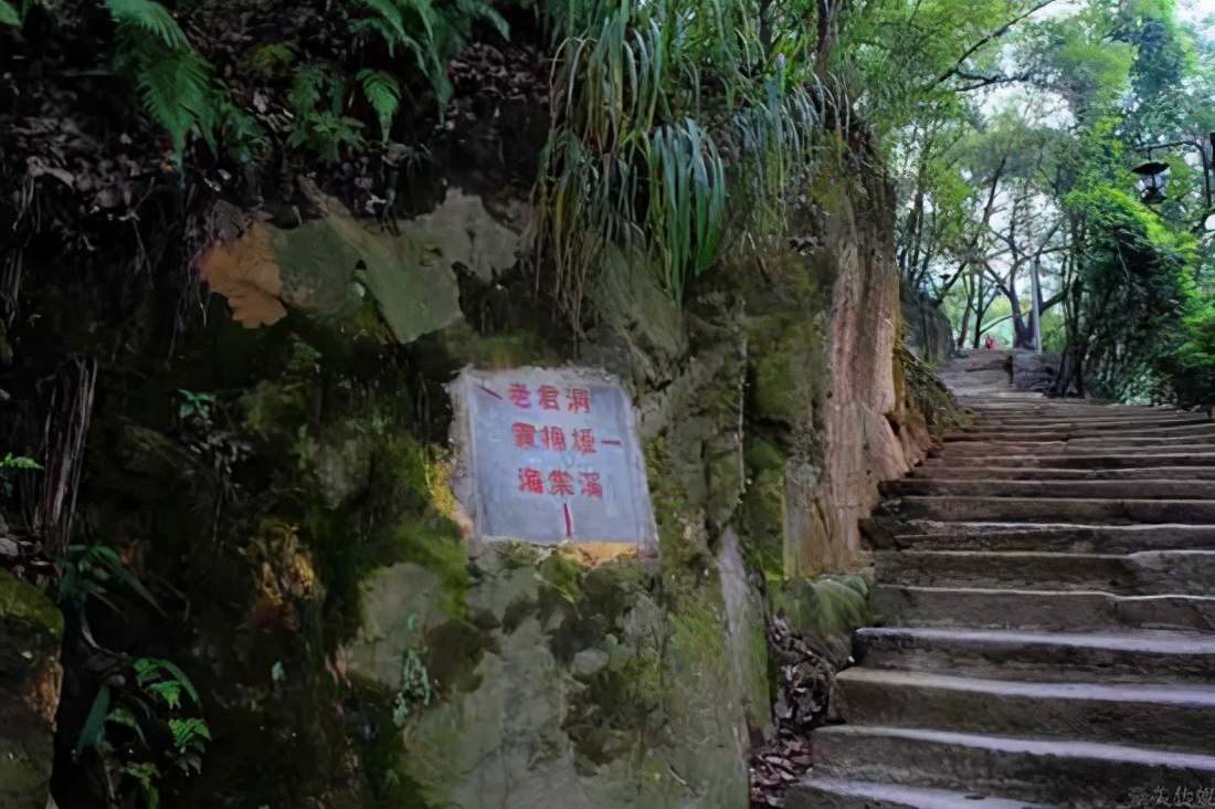 五一假期余額不足？重慶這些絕美出游地，一天打來回