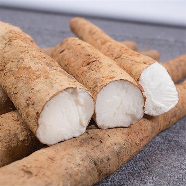 根莖類蔬菜簡介(一) 15種
