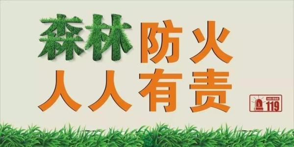 這些森林防火和逃生自救建議請收好