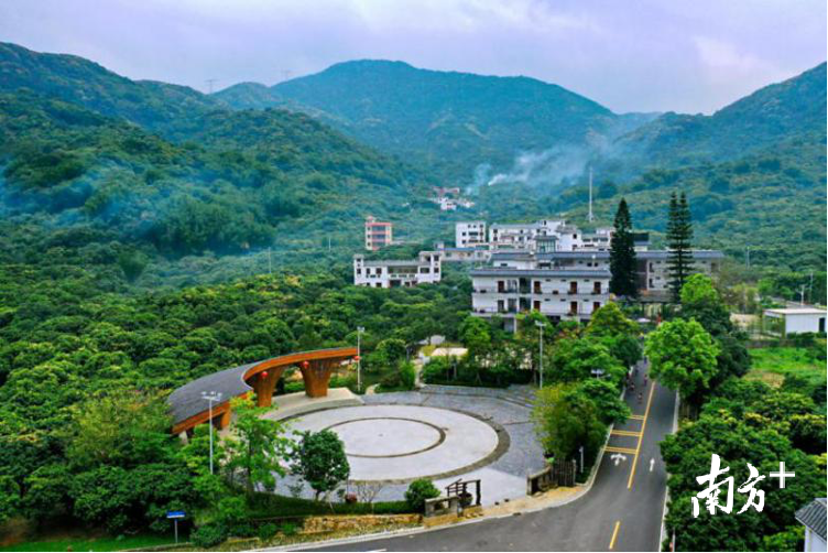 元旦假期去哪兒？廣州從化十大打卡點來啦