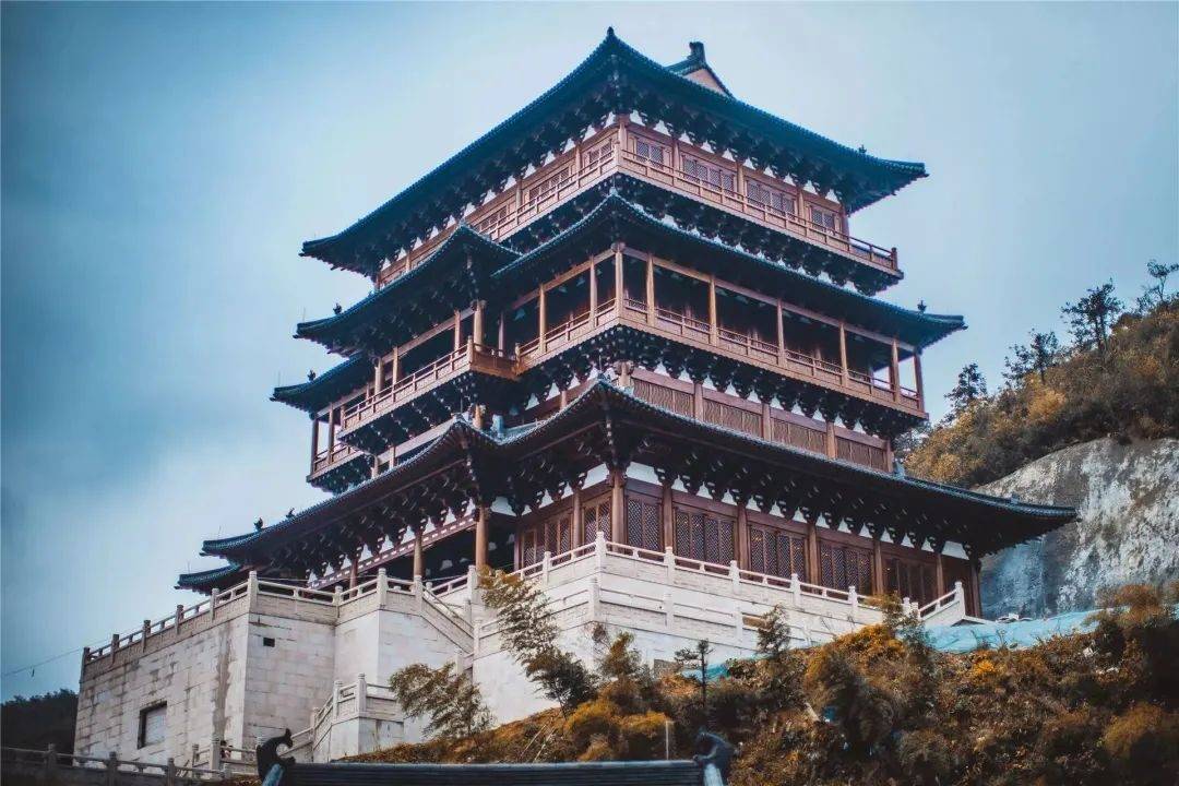 徑山最美春日已上線！采茶踏青、遛娃拍照一站式搞定