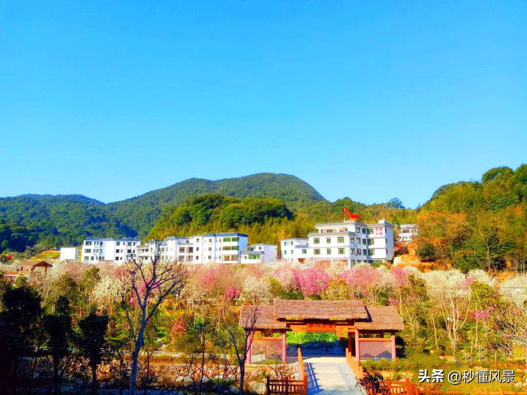 郊區這個村子，被稱為“廣州最后一片星空”，但知道的人不多