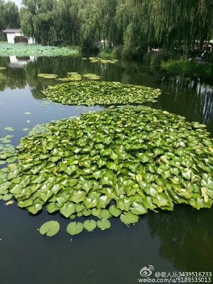 北京圓明園