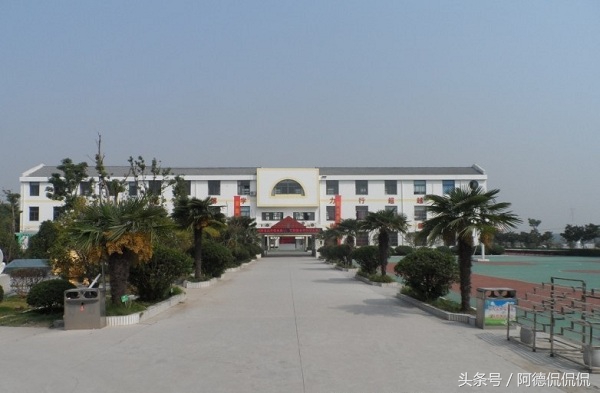 南京江寧區的中小學在這份榜單中是大贏家
