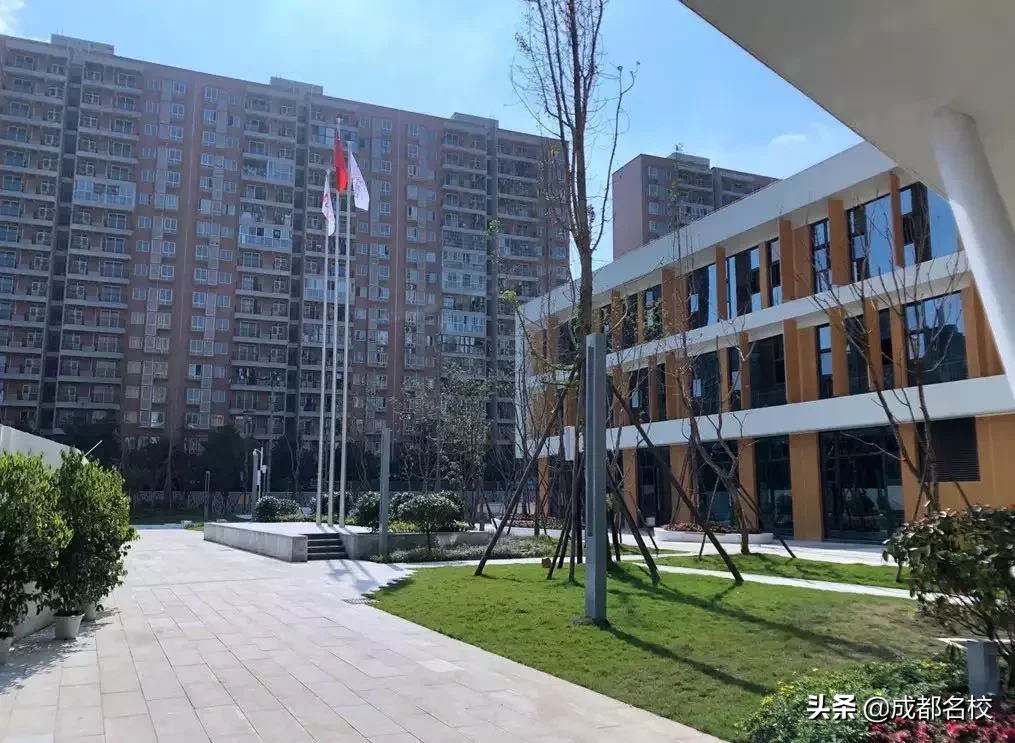 漲知識！成都高新區優質小學信息匯總及熱門小學解析