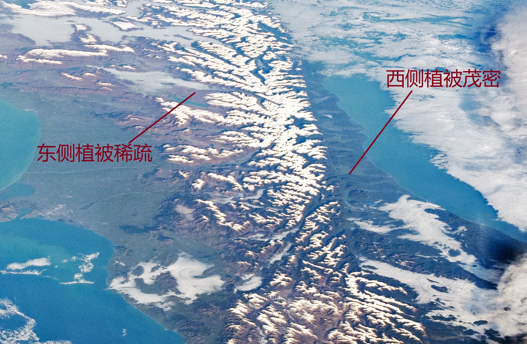 綿延數百千米的南阿爾卑斯山脈，是新西蘭南島的“白色脊梁”