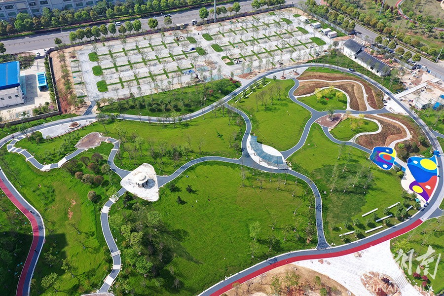 長沙龍華公園美麗綻放
