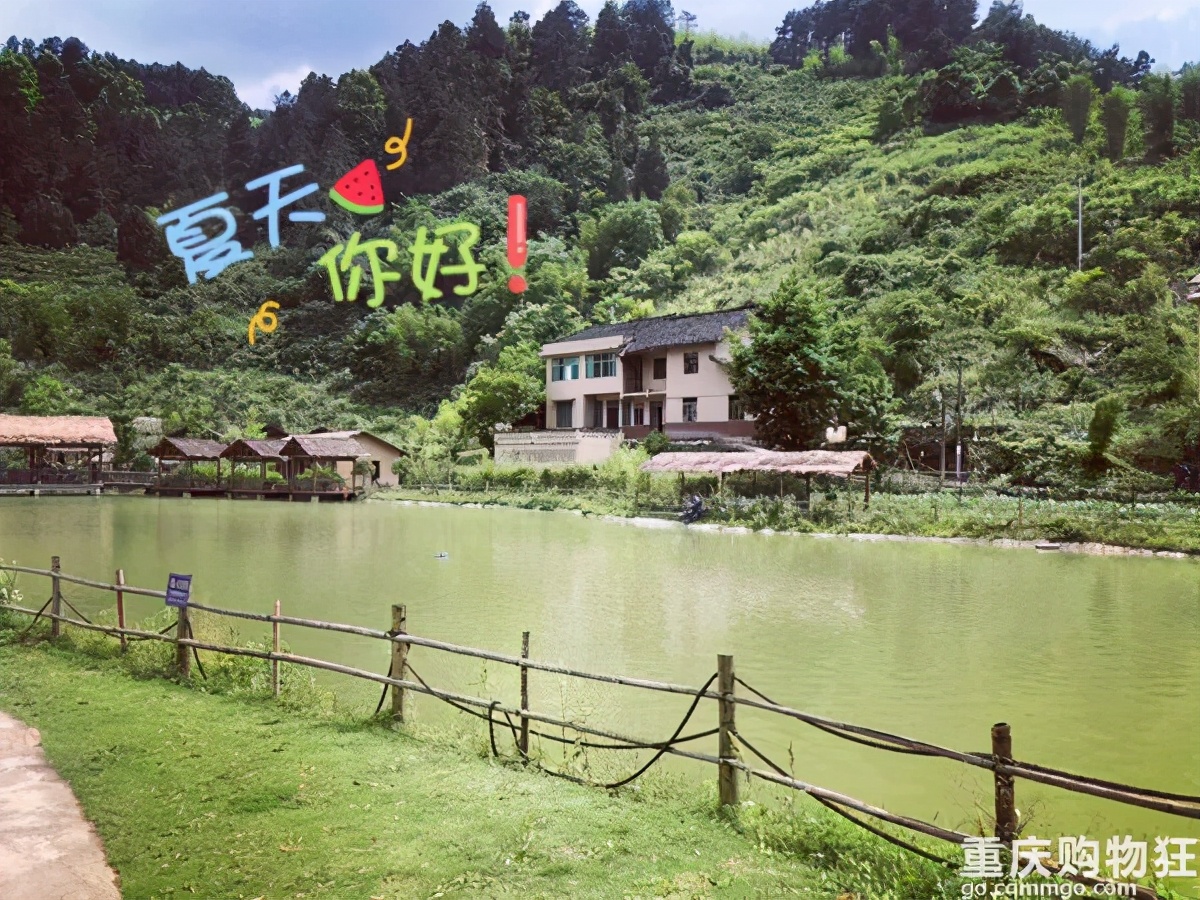假期好去處！重慶周邊這13個寶藏農場，值得你瘋玩一整天