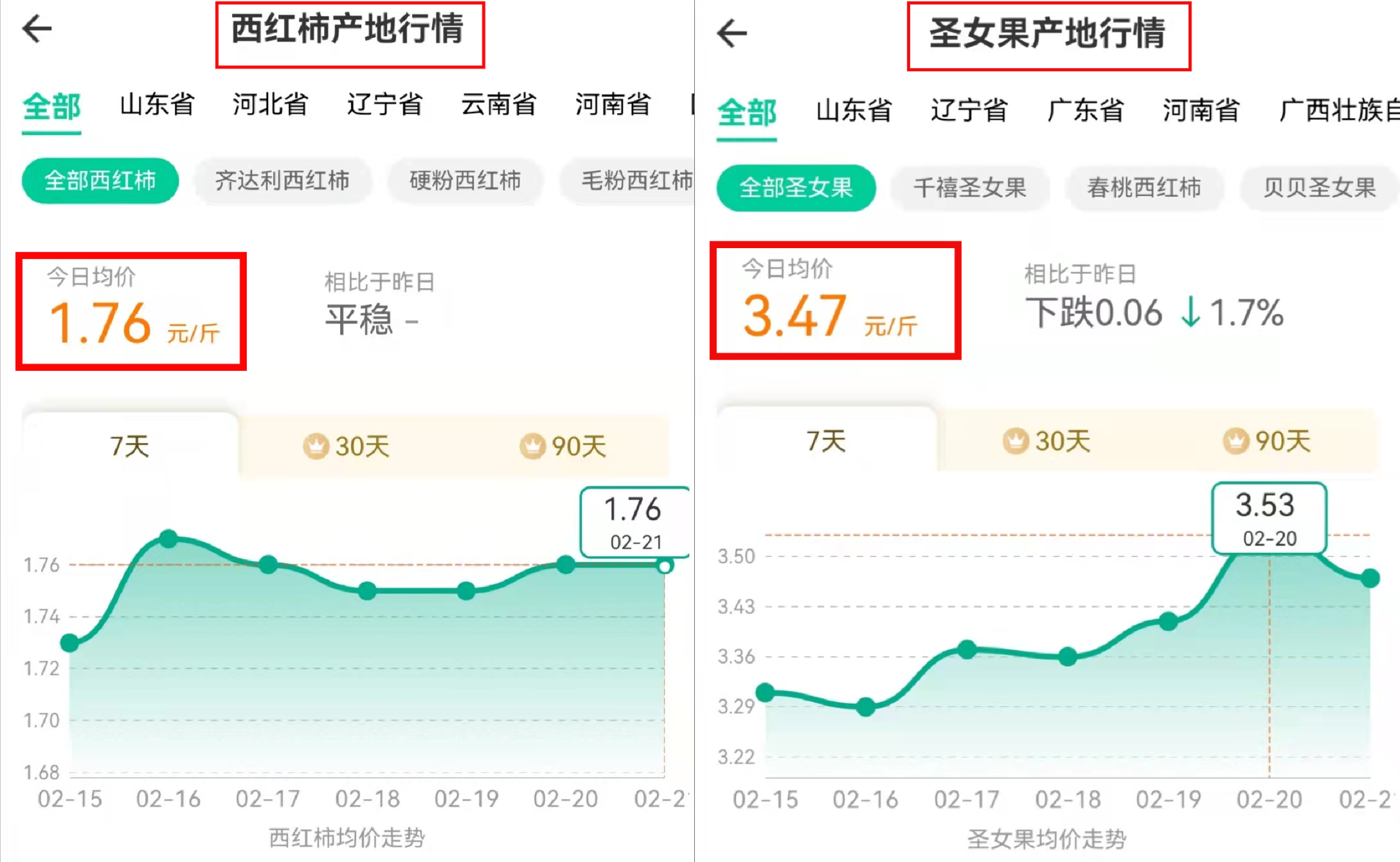 圣女果到底是不是小番茄？一文明白圣女果和小番茄的關系