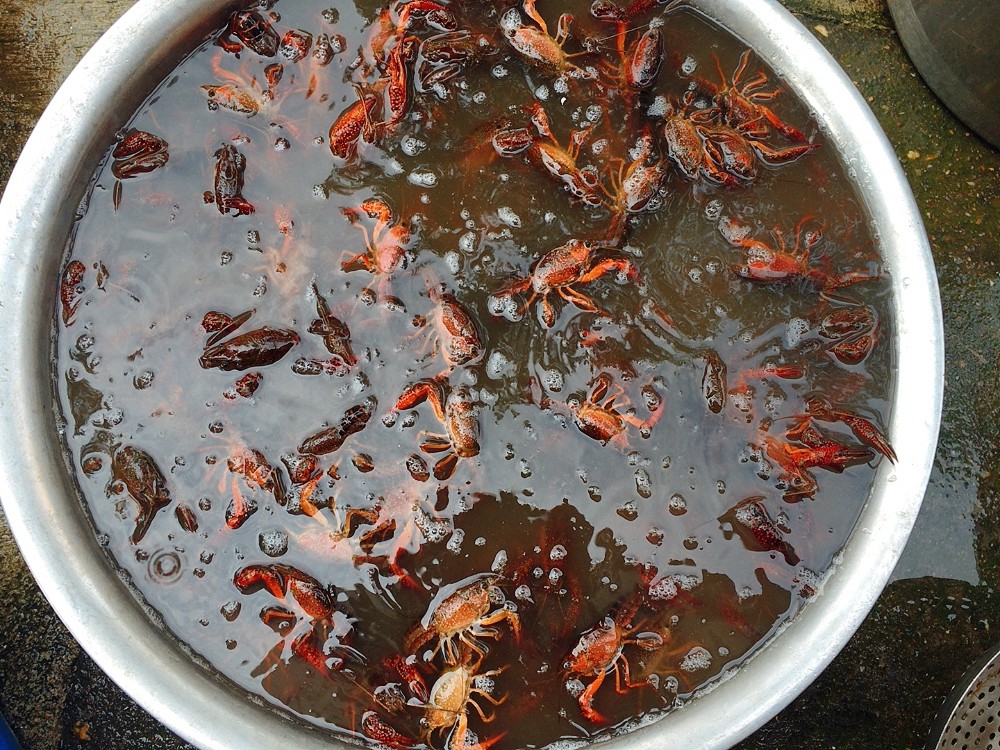 洗小龍蝦一只只刷太費勁，教你飯店不外傳的做法，洗得干凈又徹底