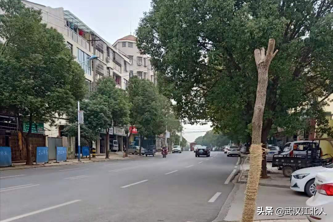 地鐵暫時不到黃陂，或許是件好事，能讓前川和橫店變得更加親近